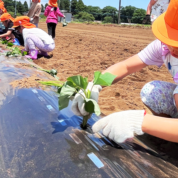 食育のイメージ